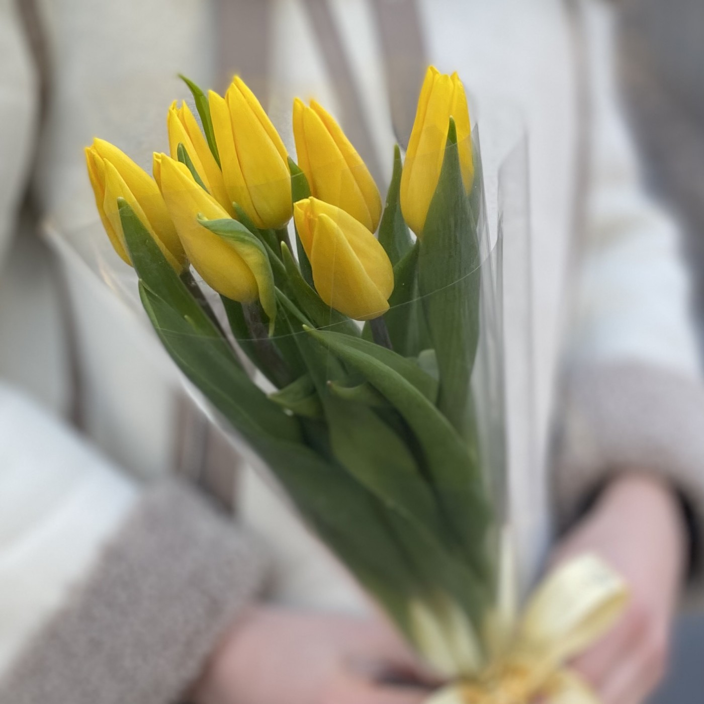 7 желтых тюльпанов в пленке